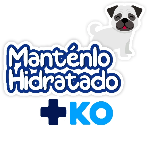 +KO frases 21