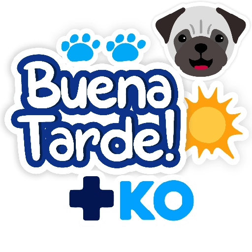 +KO frases 24