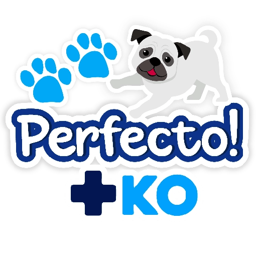 +KO frases 26