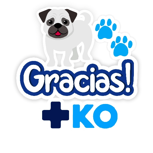 +KO frases 28