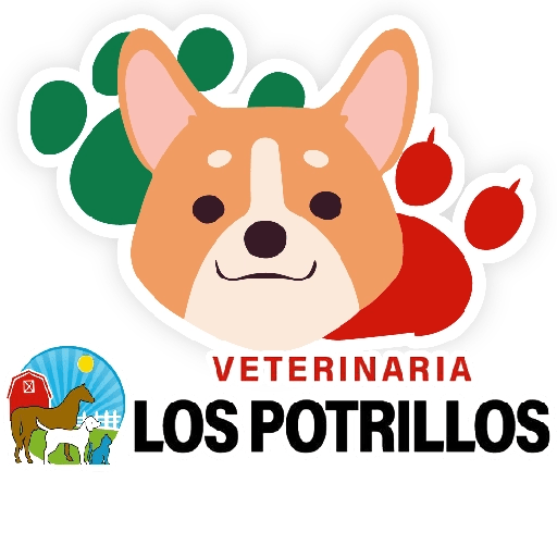 Los potrillos emojis