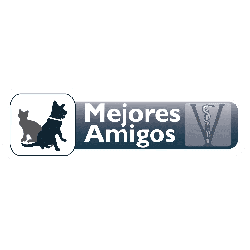 Mejores A frases