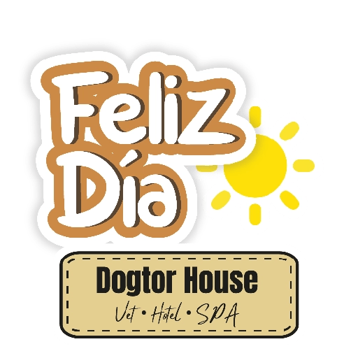 Dogtor festivos 