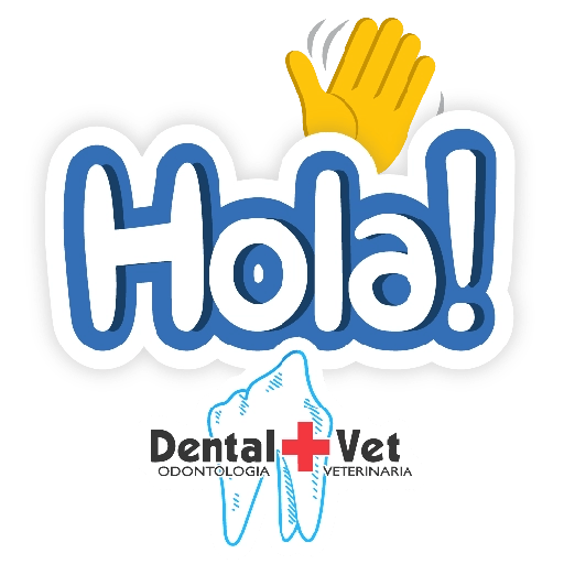 DENTAL VET FRASES