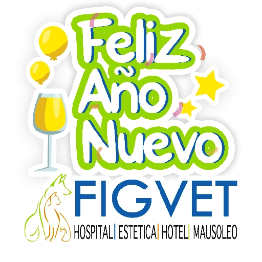 FIGVET FESTIVOS