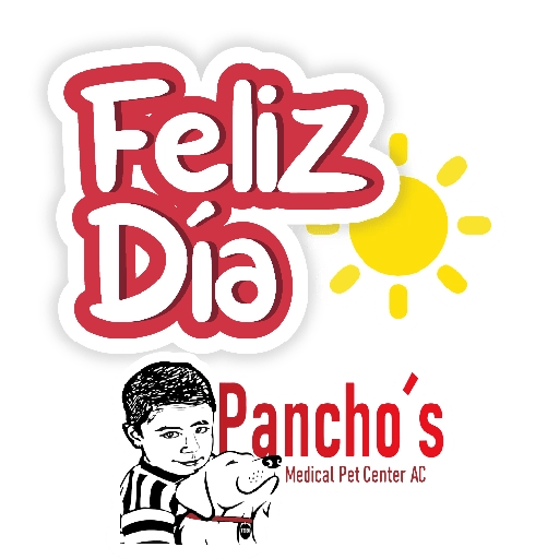 Panchos festivos