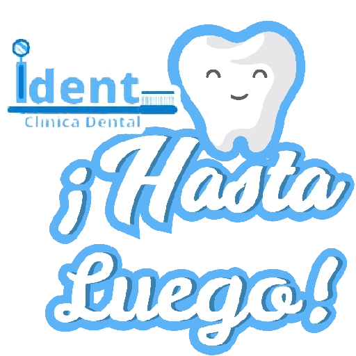 Ident frases 21