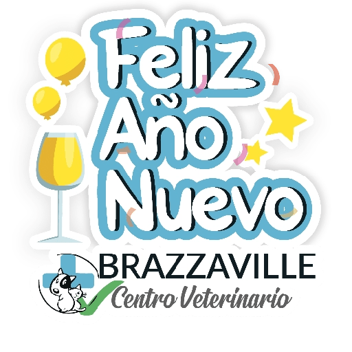 BRAZZAVILLE FESTIVOS