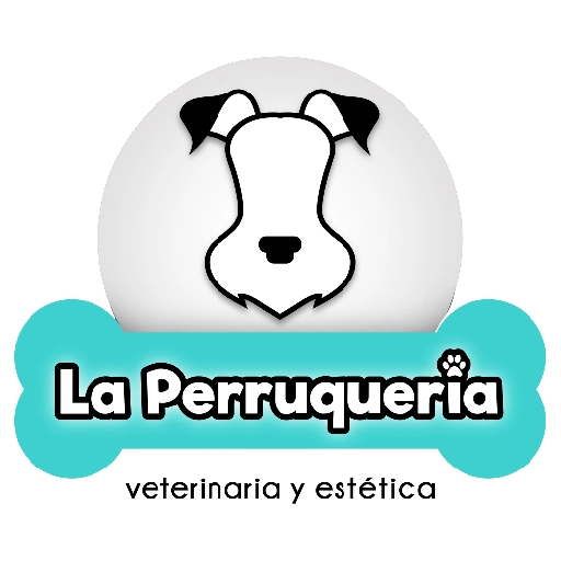 Perruqueria frases