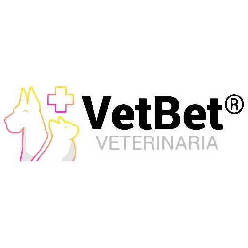 VetBet frases