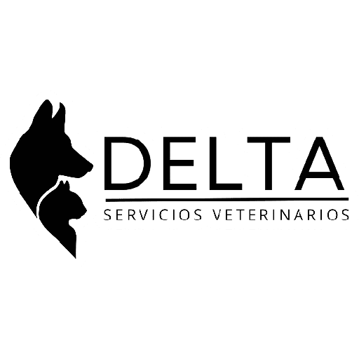 DELTA FRASES