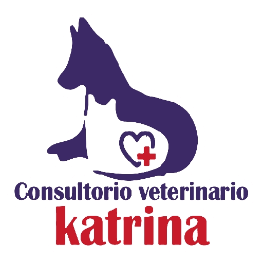 Katrina frases