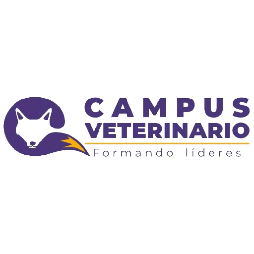 Campus frases