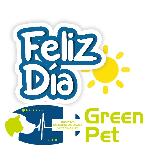 Green PET Festivos
