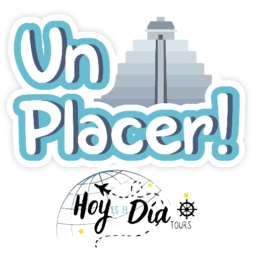 Hoy es el Día frases 14