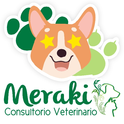 Meraki emojis