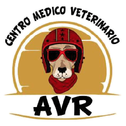AVR frases