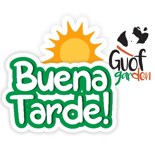 Guof frases 4