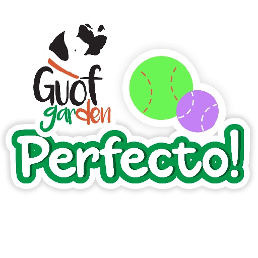Guof frases 7