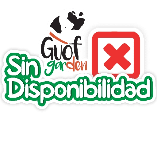 Guof frases 13