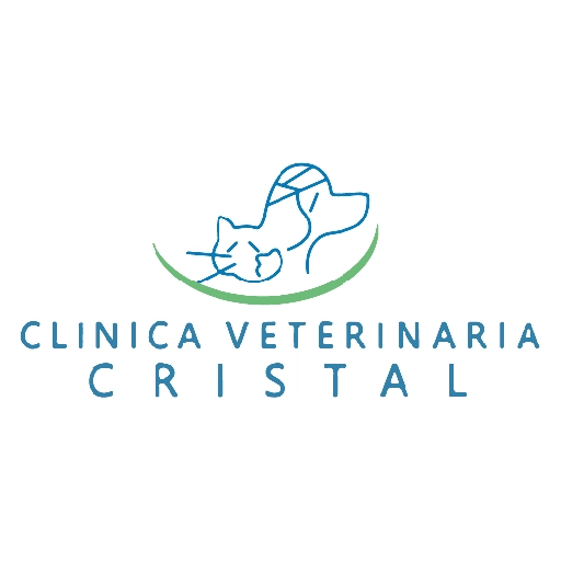 CVC frases 1