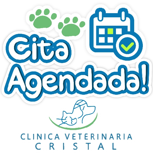 CVC frases 3