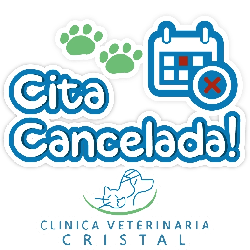 CVC frases 4