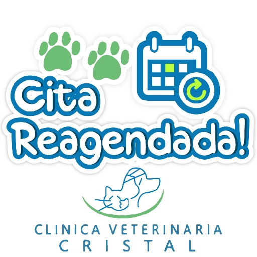 CVC frases 5