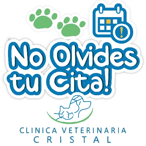 CVC frases 6