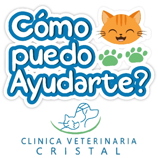 CVC frases 7