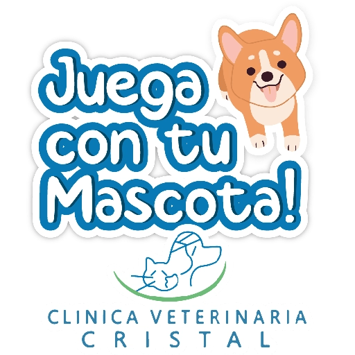 CVC frases 8
