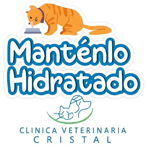 CVC frases 9