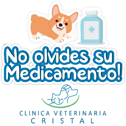 CVC frases 10