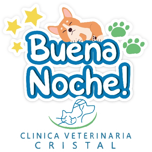 CVC frases 13