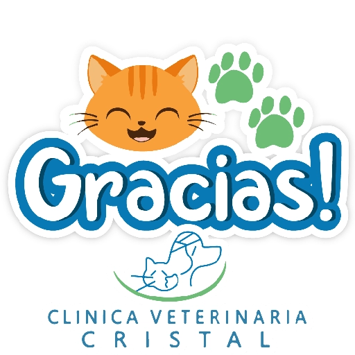 CVC frases 14