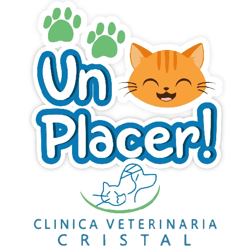CVC frases 24
