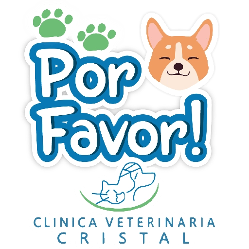 CVC frases 25