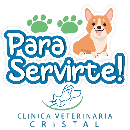 CVC frases 27