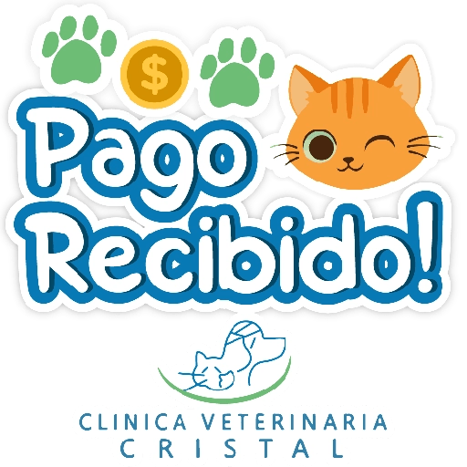 CVC frases 28