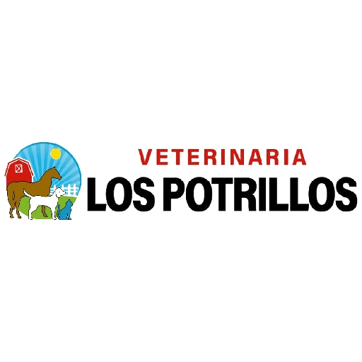 Los potrillos frases