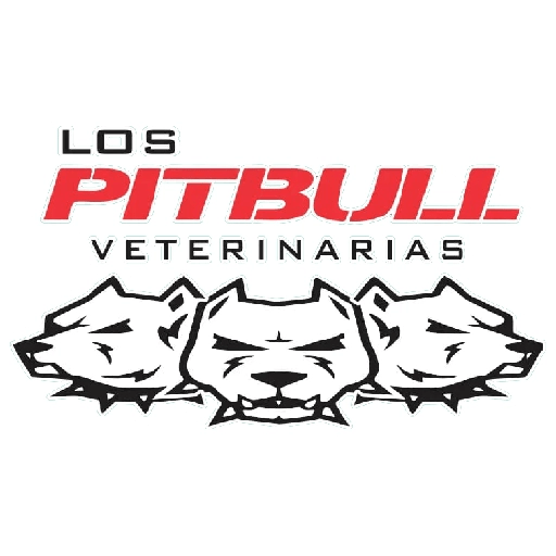 Pitbull frases