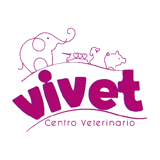 Vivet frases 1