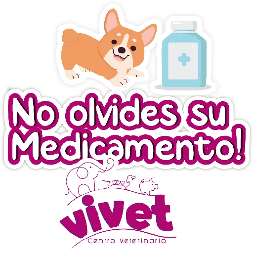Vivet frases 2