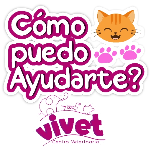 Vivet frases 3