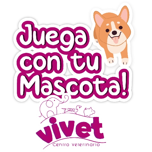 Vivet frases 4
