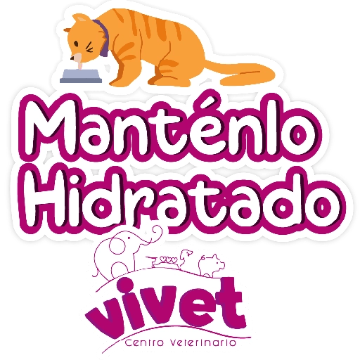Vivet frases 5