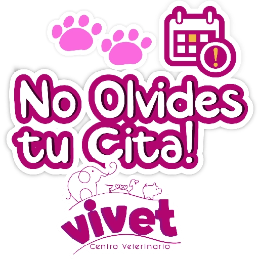 Vivet frases 6