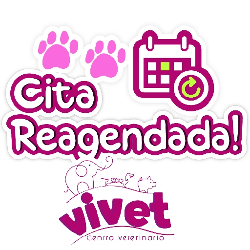 Vivet frases 7