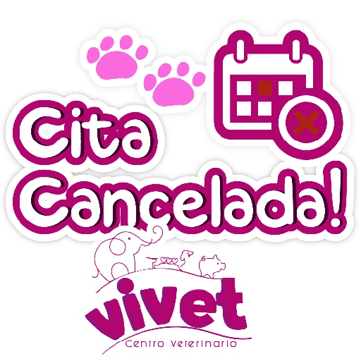 Vivet frases 8