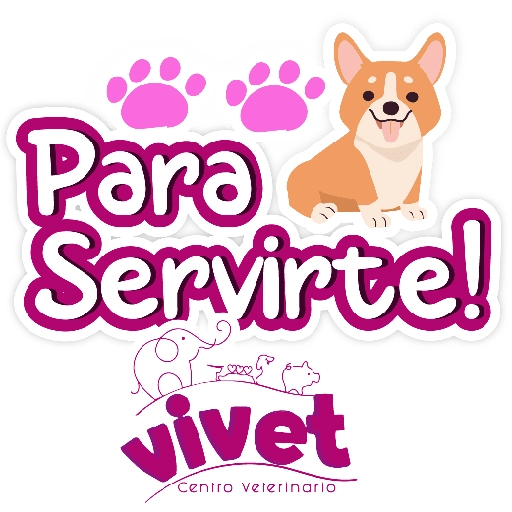 Vivet frases 9